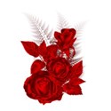 redrose