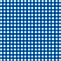 Blue_Gingham2