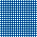 Blue_Gingham2