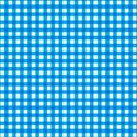 Blue_Gingham1