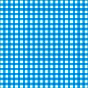 Blue_Gingham1