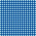 Blue_Gingham2