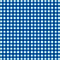 Blue_Gingham2