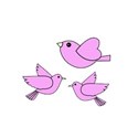 pinkbirds