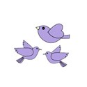 purplebirds