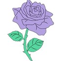 purplerose