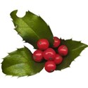 kitc_winterwishes_hollyberries