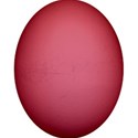 kitc_todyefor_eggdkpk