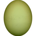 kitc_todyefor_egggreen