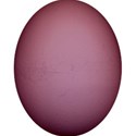 kitc_todyefor_eggpur