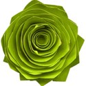 kitc_rockon_flowergreen
