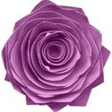 kitc_rockon_flowerpurple