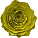 kitc_rockon_floweryellow
