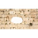 kosel 2