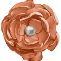 kitc_randr_flowerorange