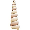 kitc_randr_seashell1