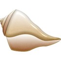 kitc_randr_seashell3