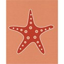 kitc_randr_starfish2