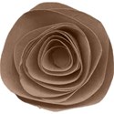 kitc_atthepatch_flowerbrown