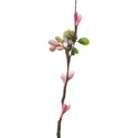 kitc_hopon_berrybranch