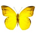 0_ba269_8494ab50_XL