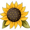 sunflower2