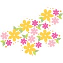 Embellishment