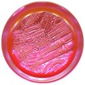 kitc_wishbig_button1