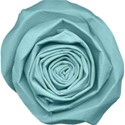 kitc_wishbig_flowerrolled2