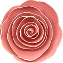 kitc_wishbig_flowerrolled1