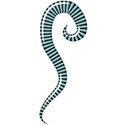 kitc_wishbig_swirl1