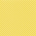 kitc_wishbig_paperpolka5