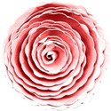 kitc_madewithlove_flower2