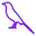 Bird purple neon