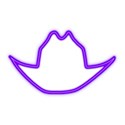 Cowboy hat purple