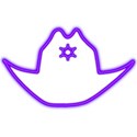 Sherriff hat purple