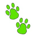 DogPaw