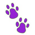 DogPaw4