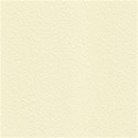 paper