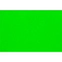 green background2