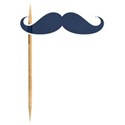 jennyL_littleman_flag4