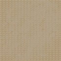 autumn paper4
