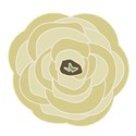 jennyL_ranunculus2_16