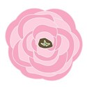jennyL_ranunculus2_18