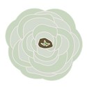 jennyL_ranunculus2_20