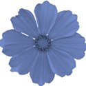 blue flower