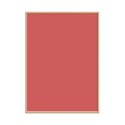 frame_c1