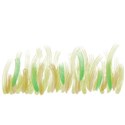 grass2