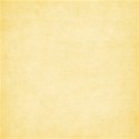 lisaminor_lively_paper_g