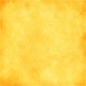 lisaminor_mayI_paper_n